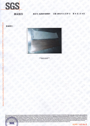草莓色视频检查报告SGS（中）