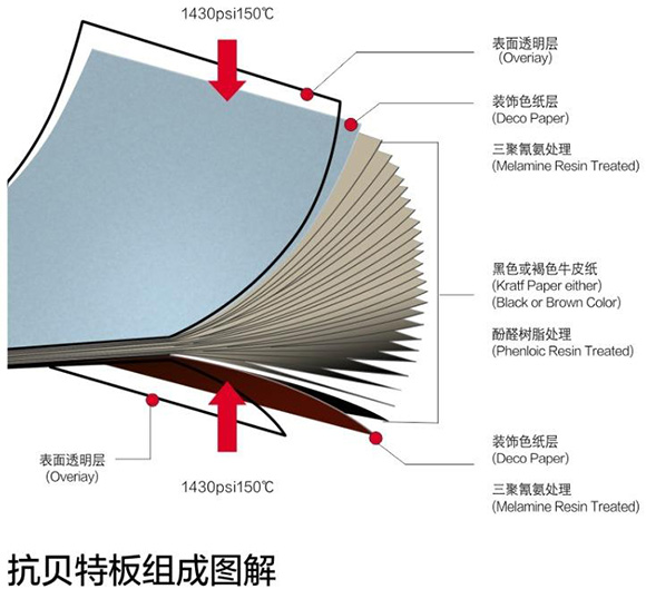 草莓色视频抗倍特板组成图解